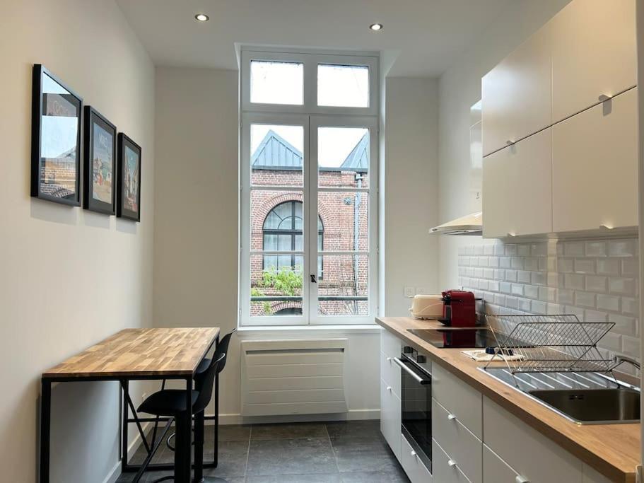Appartement Vieux-lille Renove Avec Rijsel