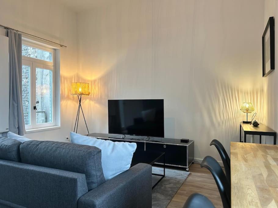 Vieux-lille Renove Avec Appartement *
